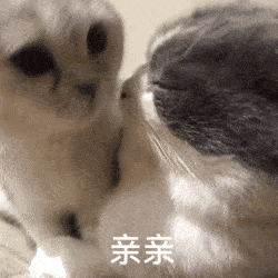 唯美手机壁纸,无水印推送.20张 - part3