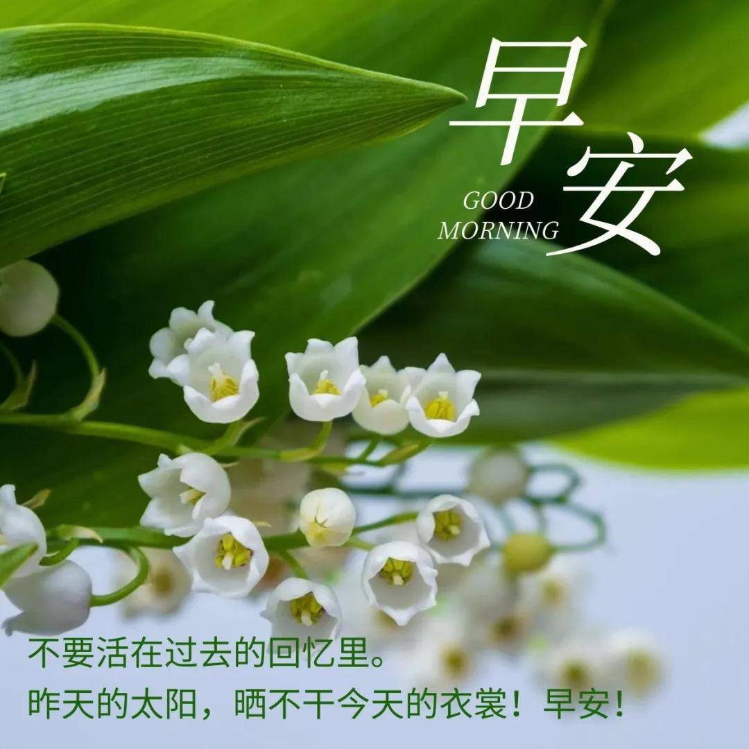 很温馨的早晨问候语录 朋友圈早安祝福图片分享