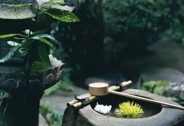 日式禅意庭院喝茶的神圣