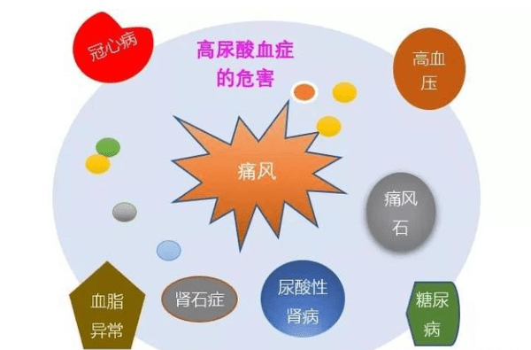 吃药降尿酸经常反弹,有其他的办法吗?