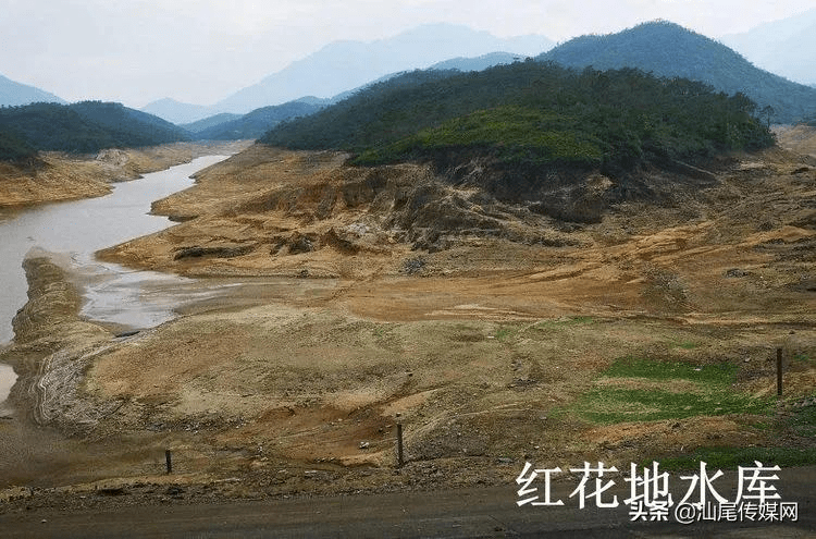 海丰青年水库,红花地水库,库容量严重下降