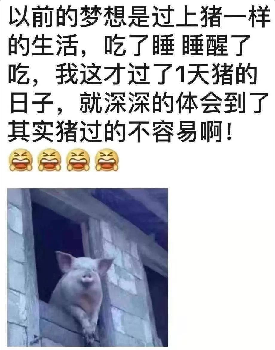 搞笑图片憋在家里的网友脑洞实在太大了