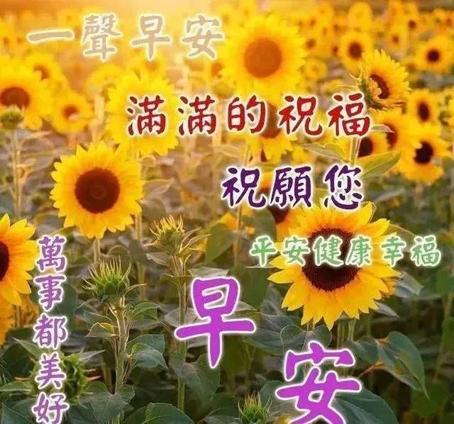 早晨好问候动态图片表情带字 群发清晨早上好问候祝福