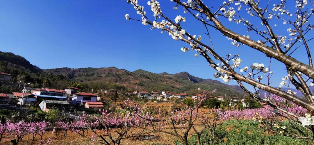 仿佛置身于唐诗宋词里一幅幅水墨画 最美村庄木场村 当春天的脚步来临