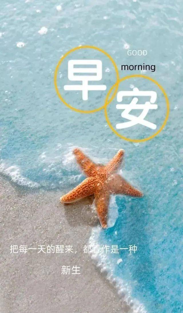 早上祝福语录精选,2021年元气满满的早安正能量句子,早上开心快乐!