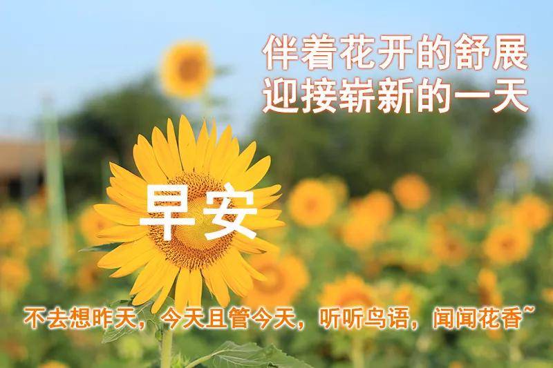 原创最新漂亮早上好动态图片带字最美早上好动态表情图片