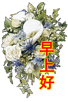 267_400 竖版 竖屏