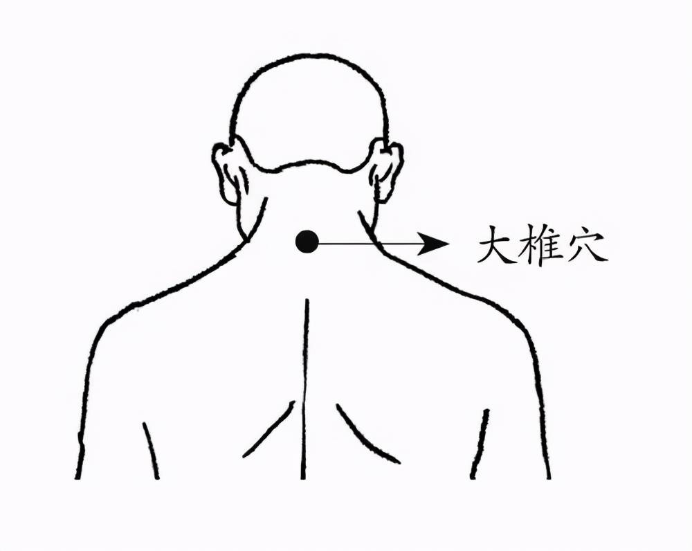 大椎 取穴位置:在后背正中线上,第七颈椎棘突下凹陷中.