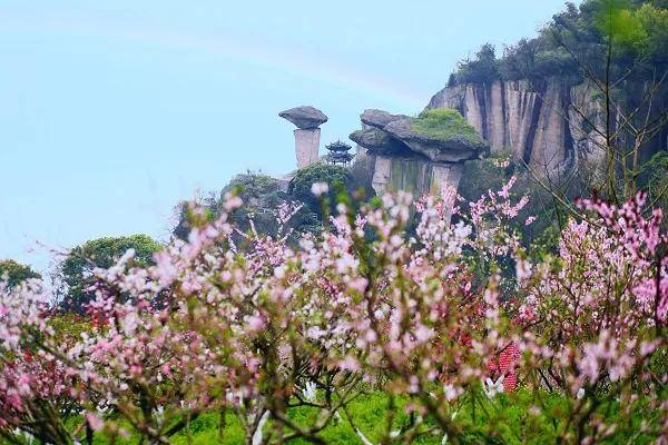 2021年绍兴吼山桃花节来了!最强攻略看这里!