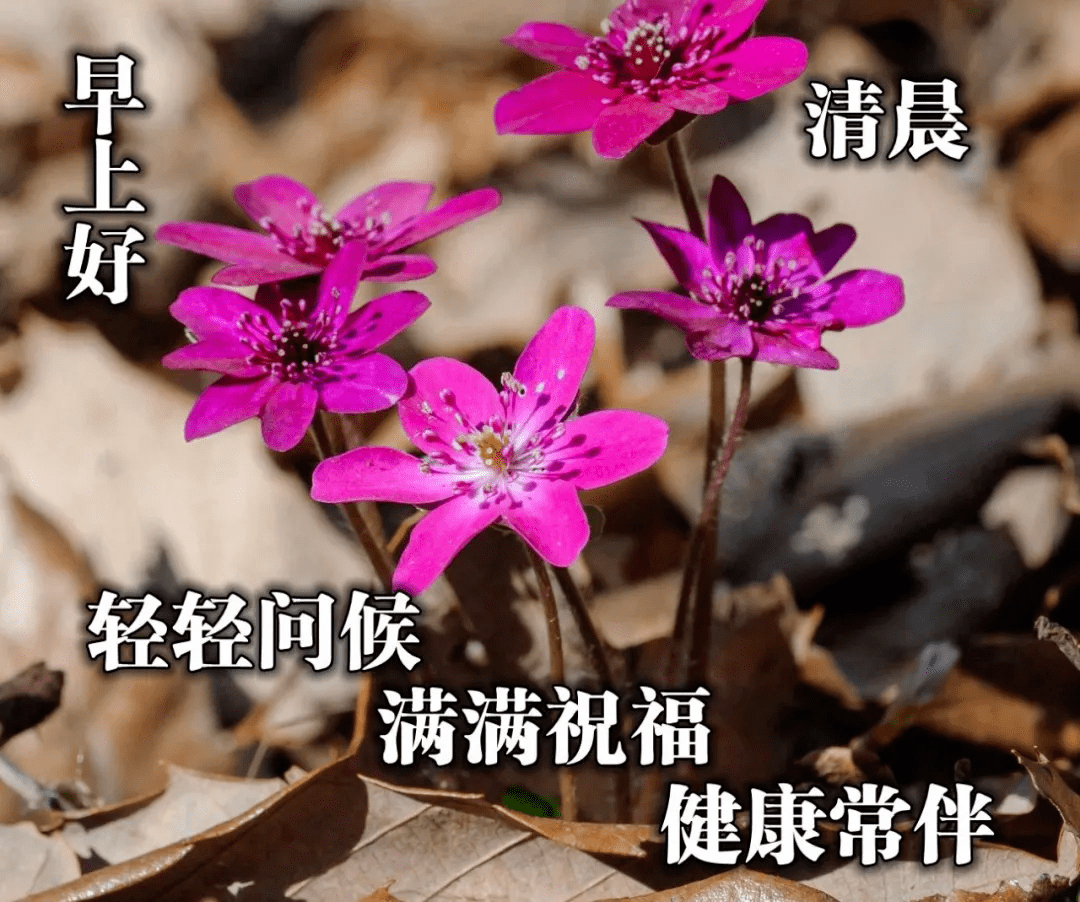 悄悄的打开快乐的大门,欢迎你进来,甜蜜的爱情,充实的工作,美好的一天