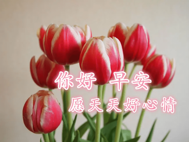 原创2021年清晨早安问候祝福语大全 早上好朋友圈的关心问候语句子