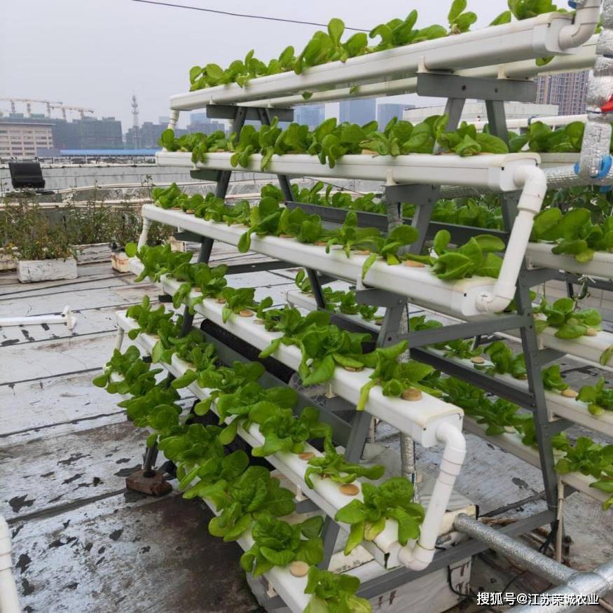 轻食时代无土栽培让您在家种菜