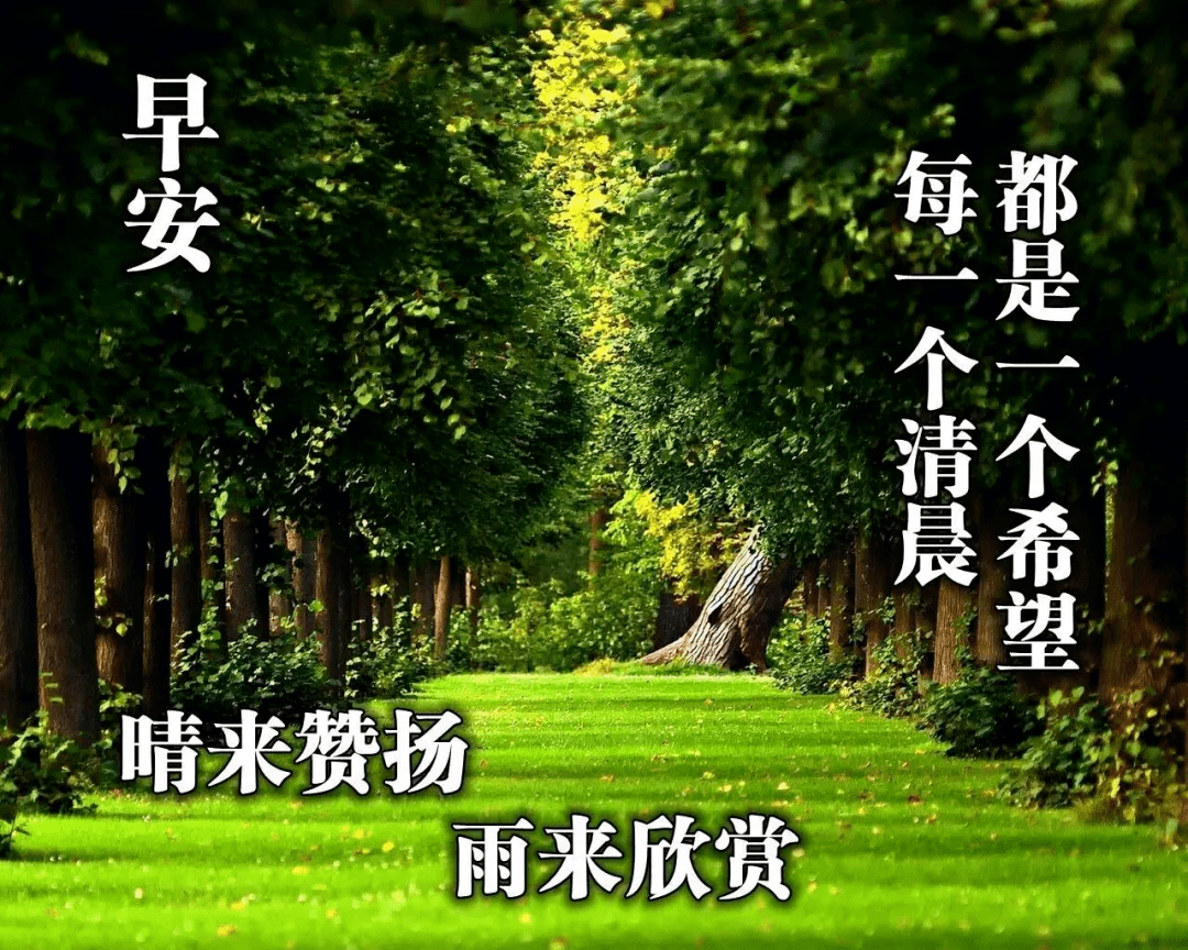 原创夏季早晨好问候语动态图片表情大全早晨好阳光表情包