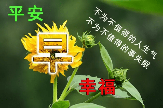 早上好图片大全最美图集,早上好祝福语短句子