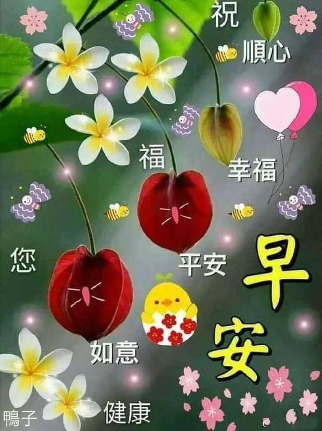最新版早上好2020图片,早安2021最新图片带字 原创超漂亮早上好表情图片带鲜花 2020最新版一句问候一句祝福