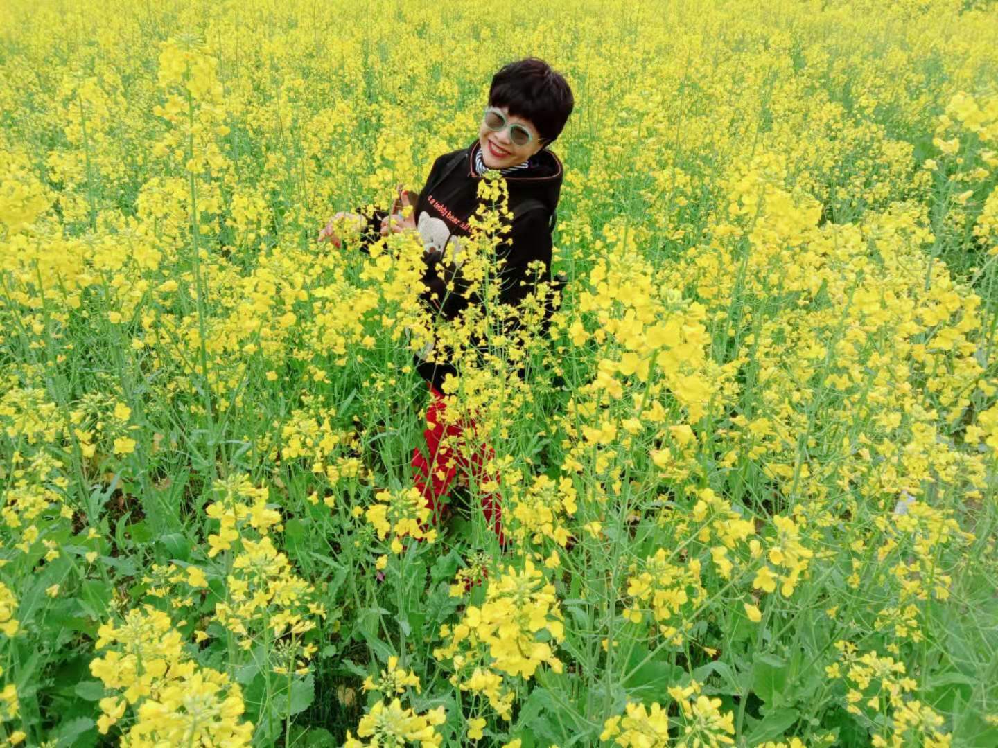 我喜欢春天,喜欢这漫山遍野金灿灿,十里飘香的油菜花!