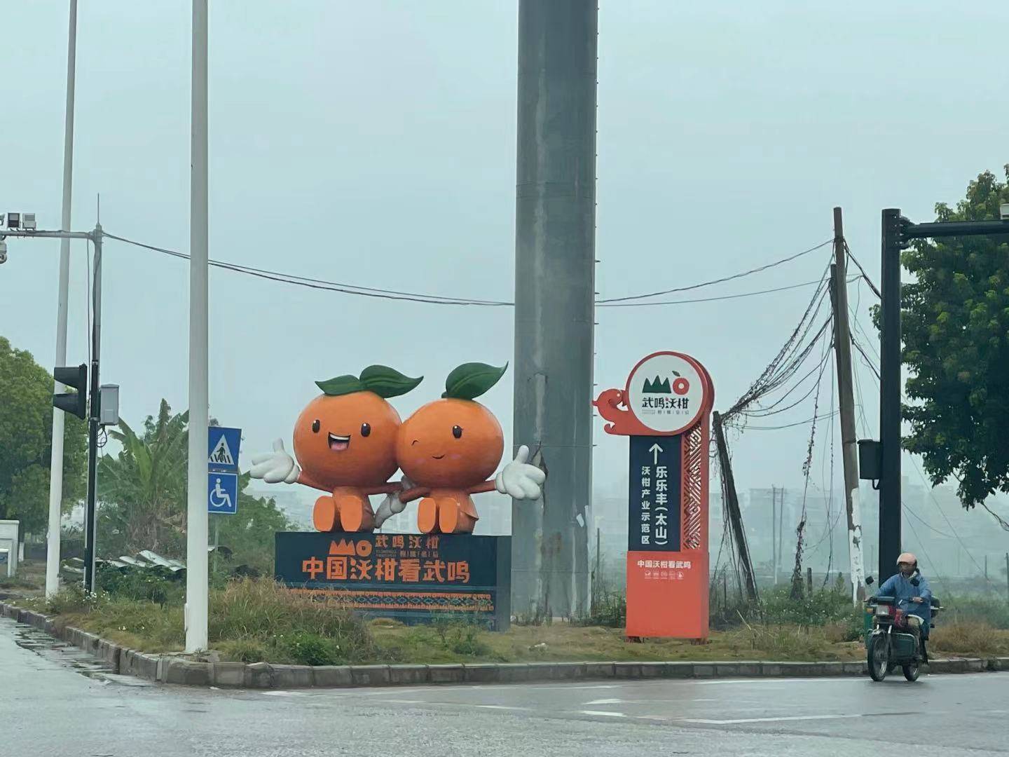 沃柑浸抑菌药保鲜背后被忽视的安全间隔期