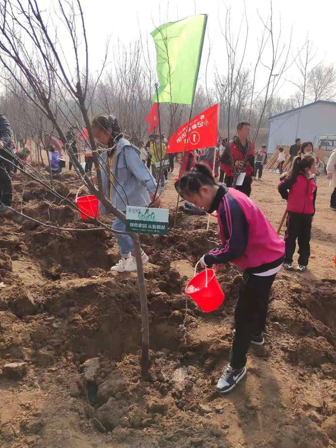 共植新绿 共迎花开——潍城区实验小学开展植树活动