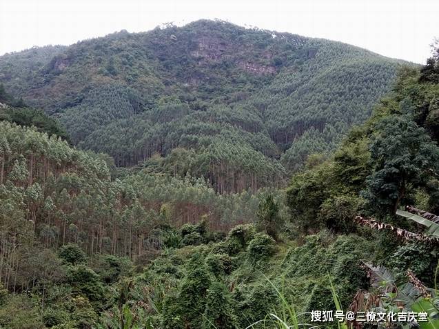 形峦基础,论金星结穴,建议初学者收藏