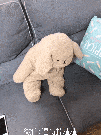 搞笑gif段子:这眼神可以为二哈正名了