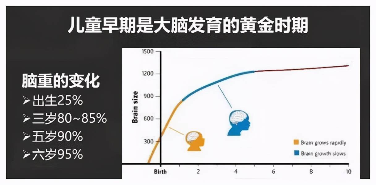 儿童大脑发育高峰期仅有一次,紧紧抓住机会培养"高智商"的娃!