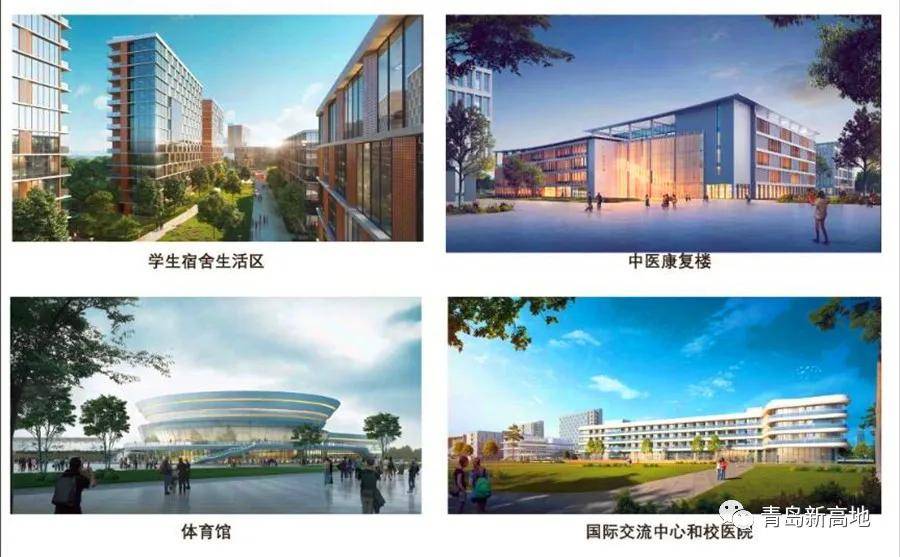原创这所56名院士加持的大学,能否成引燃青岛北岸的导火索