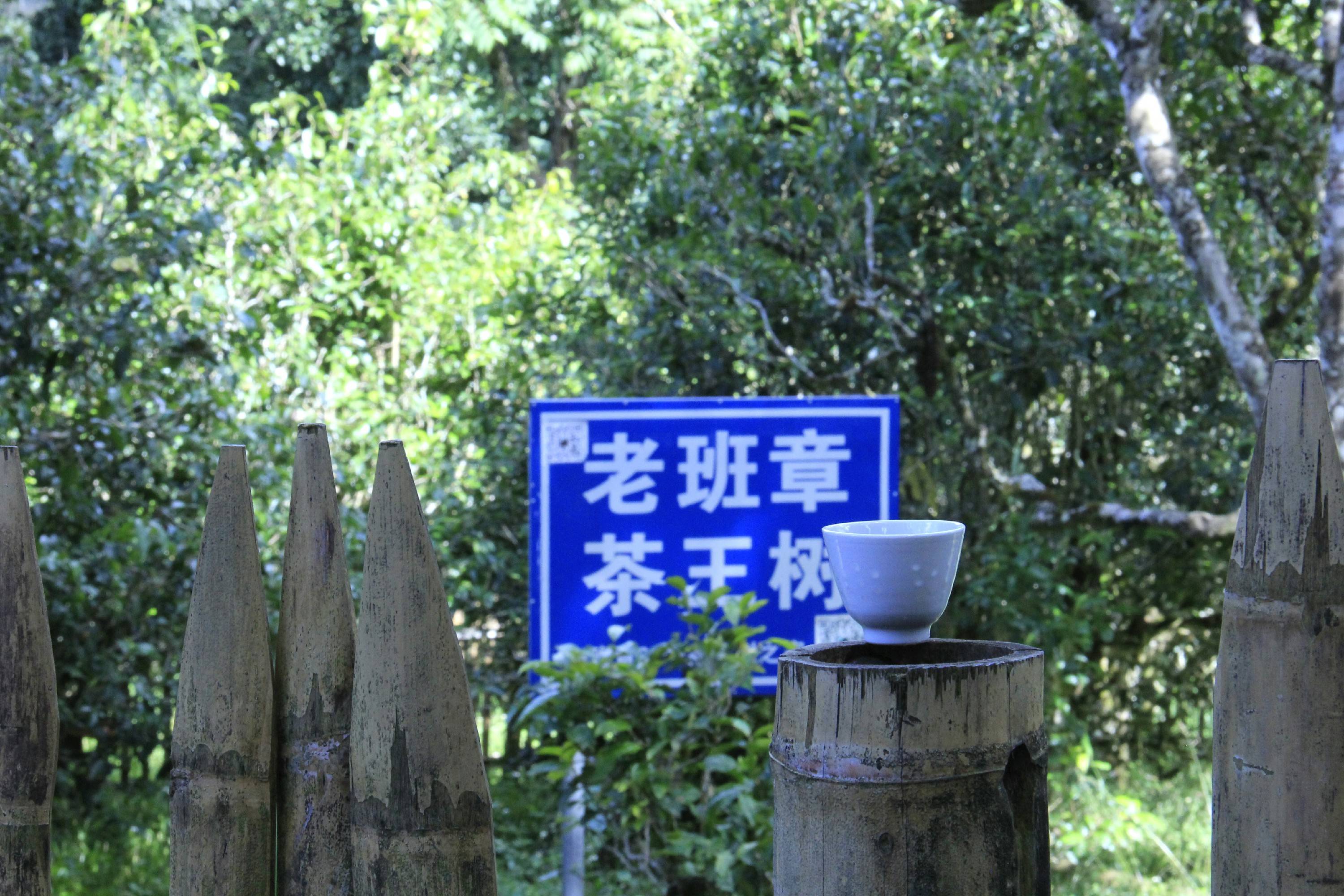 老班章普洱老茶盘点:大白菜班章特二号,04八角亭班章,06野生班章王!