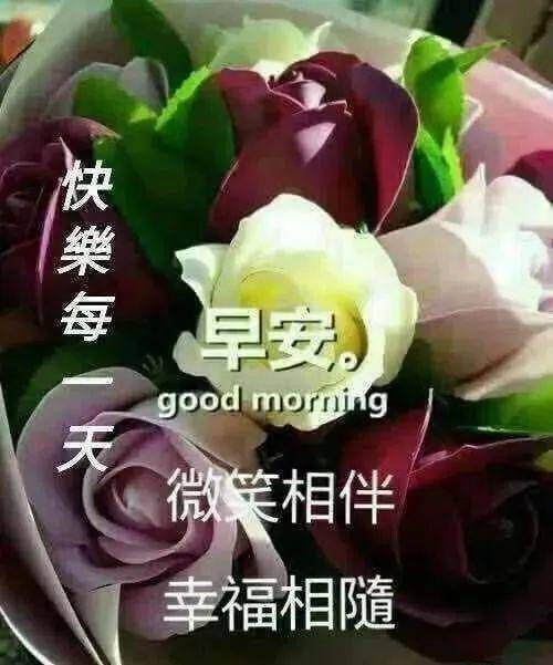 微信早上好问候语暖心句子,问候大家早上好表情图片大全