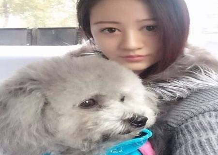 单身女士愿意养宠物狗,原因你想不到