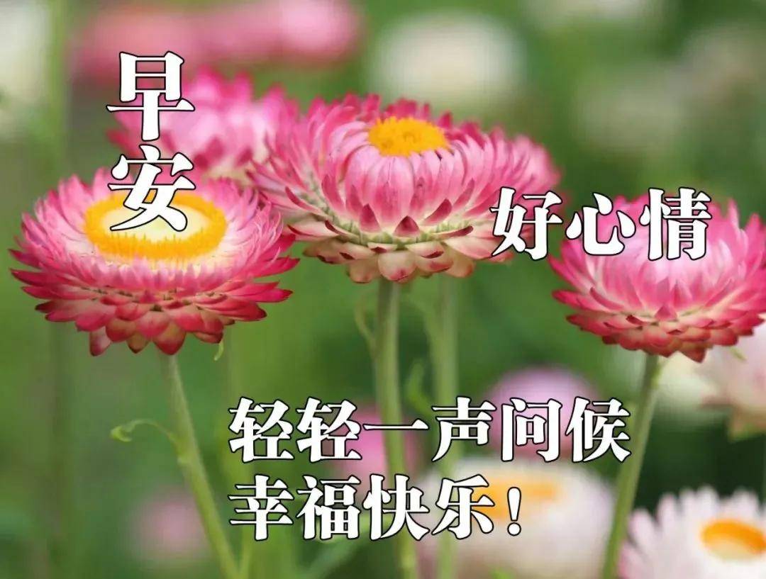 原创早上好!新的一天,祝你事事顺心如意,愿你开心快乐