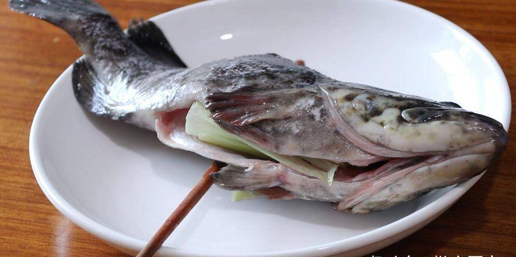 69元买回来一条青石斑鱼,教你清蒸石斑鱼的做法,鱼肉鲜嫩入味