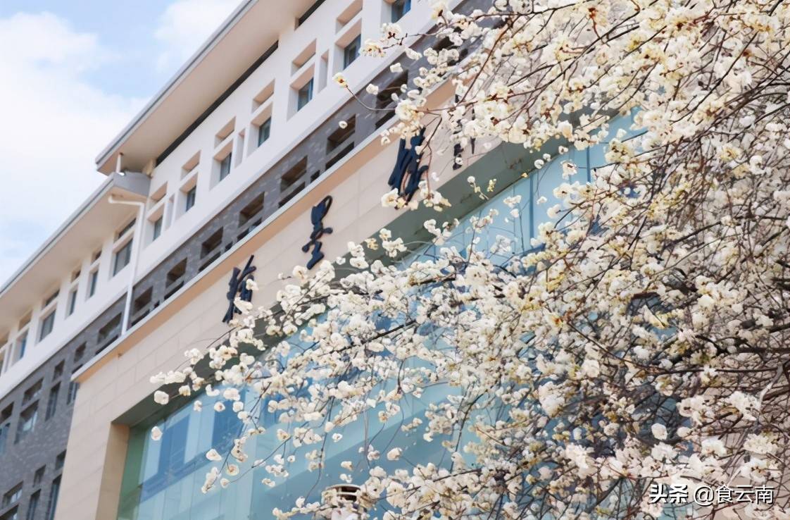 云南经济管理学院