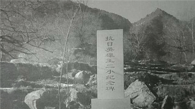 原创直击王二小墓地:葬于牺牲处,儿时玩伴义务地守墓59年