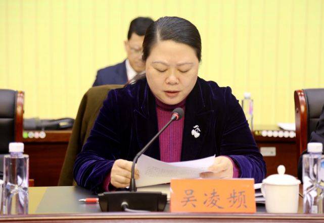 副州长吴凌频讲话.