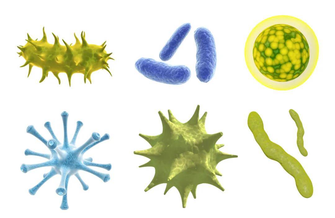 低水分活度食品中微生物的致病机理以及6种微生物控制