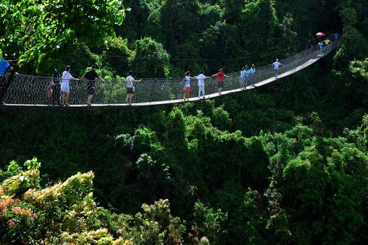 景观吊桥,与大自然零距离拥抱_景区