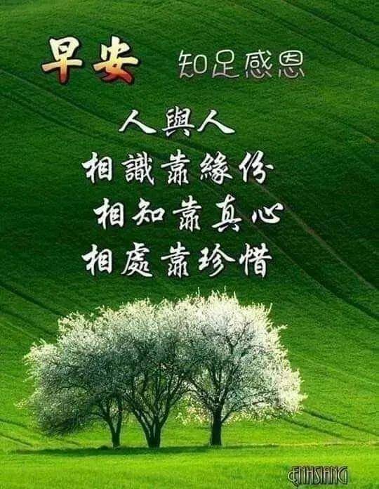 星期一暖心清晨早安问候祝福语录短信,早上好问候关心