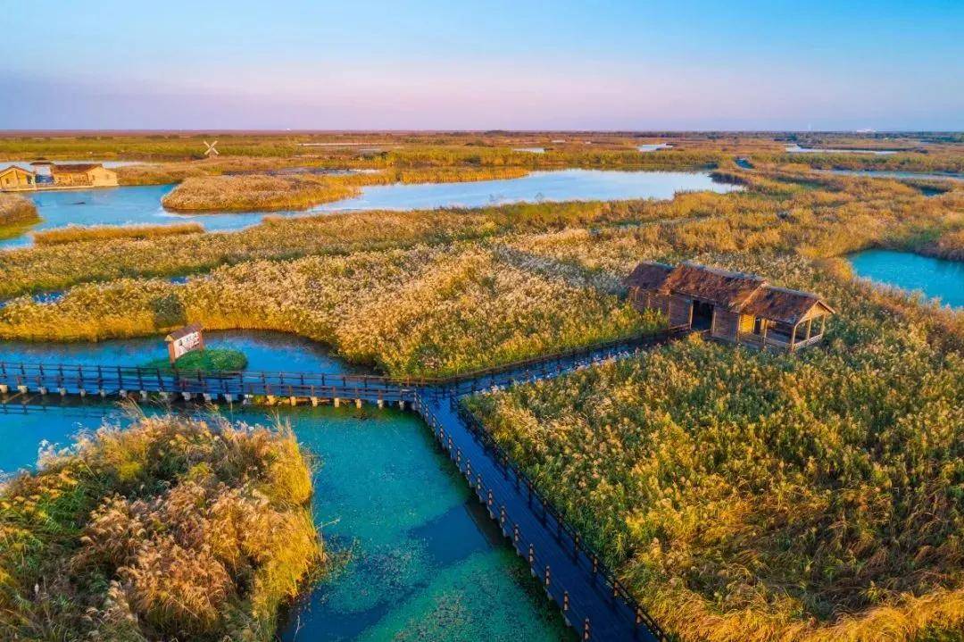 世界级观鸟胜地的 杭州湾国家湿地公园,是宁波唯一一个"国字号"湿地