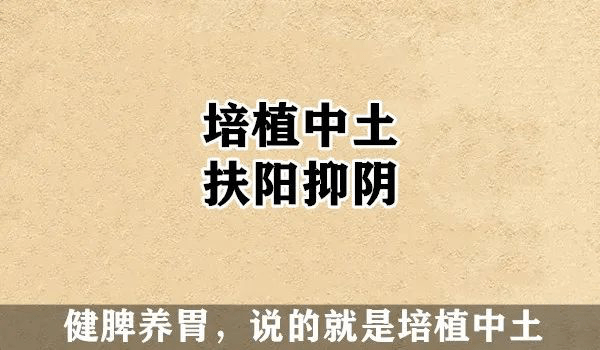 再结合"培植中土,扶阳抑阴"的治病思想,用健脾养胃搭配祛邪小方的办法