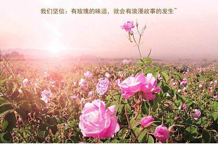 探寻保加利亚玫瑰圣地