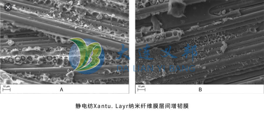 改性的碳纤维样品的断面(放大倍数2000倍)(a)左侧未添加,(b)右侧增韧