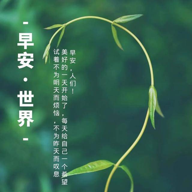 早安励志的阳光句子,精辟迷人,句句都是感悟,早上好祝福