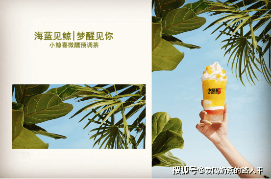 一探究竟丨小鲸喜奶茶的新品都是如何研发的?