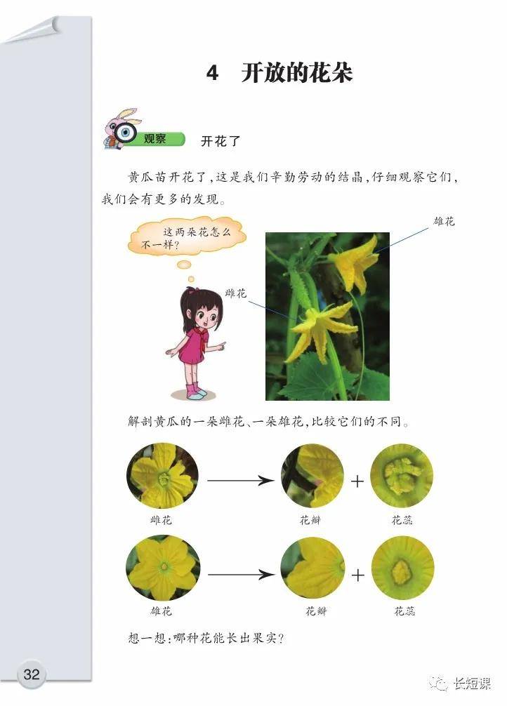 大象版三年级下册科学电子课本教材(高清版pdf下载)