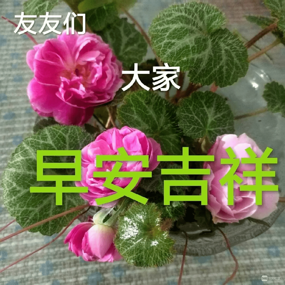 原创早上好表情包早安祝福问候语人生感悟经典语录