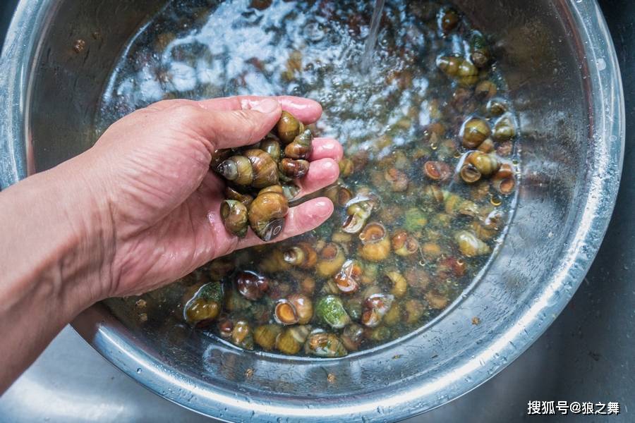 原创河里一种美味,可以治黄疸,目赤热痛"清明赛肥鹅,别错过