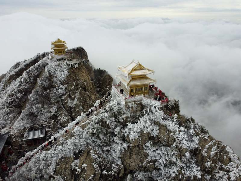 河南洛阳老君山是伏牛山主峰所在地,海拔2000余米, 山顶海拔高气温低