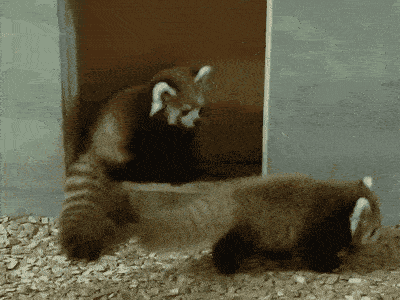 gif搞笑段子宝宝为了追上妈妈屎都跑出来了