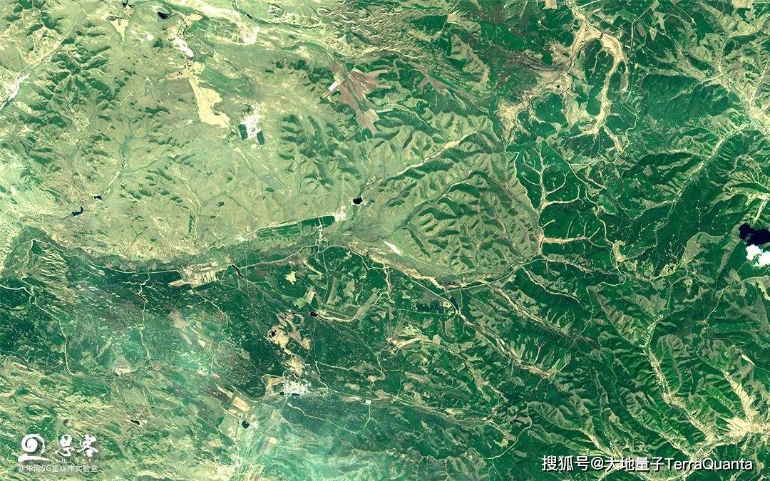 中国的树都种到了哪里大地量子遥感卫星ai见证绿色奇迹