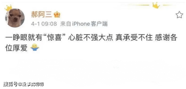 张小斐的团队是专业的吗为何买热搜总是拎不清时机